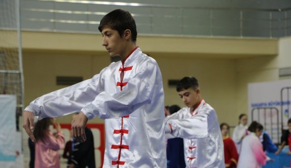 Tai Chi Türkiye Şampiyonası Sakarya'da tamamlandı